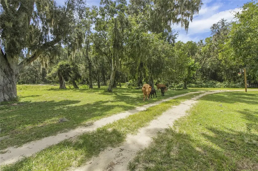 10757 County Road 223 Oxford FL 34484