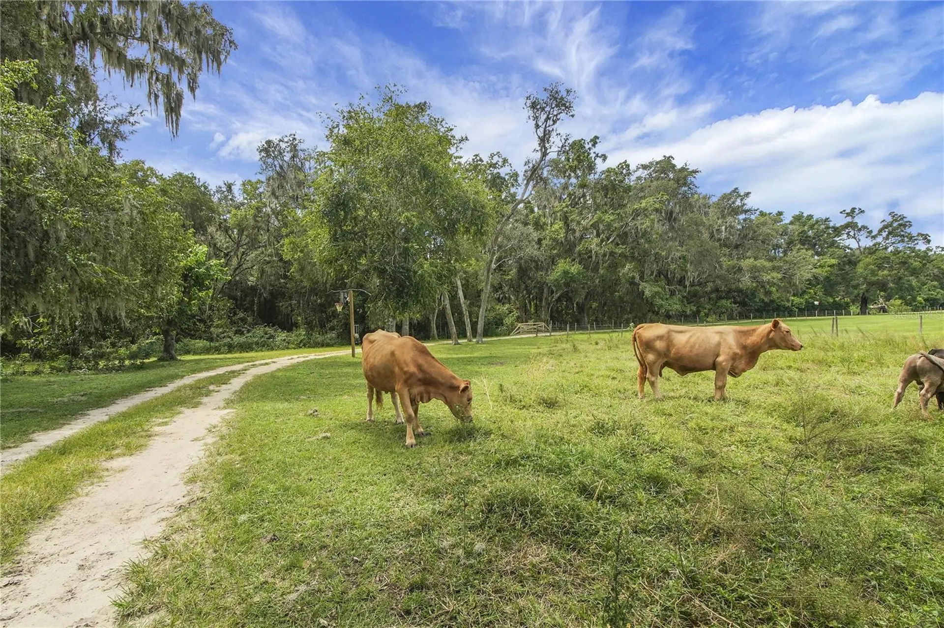 10757 County Road 223 Oxford FL 34484