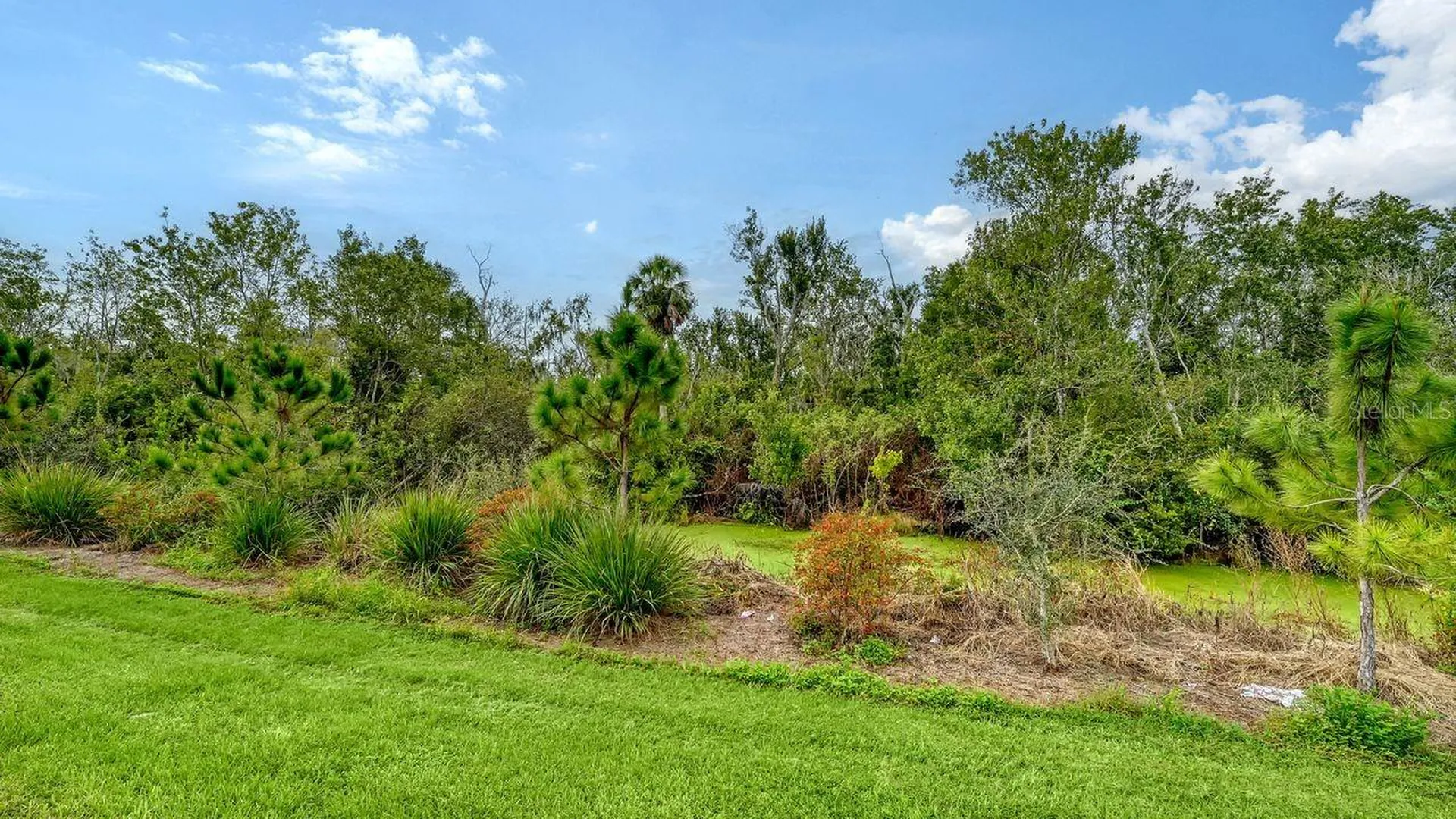 8221 Reefbay Cove Parrish FL 34219