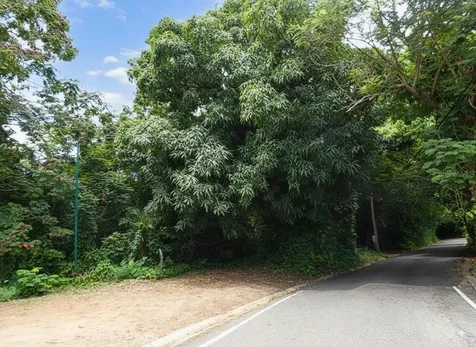 Sr 108 Km 8.1 Rio Cañas Wd Anasco PR 00610