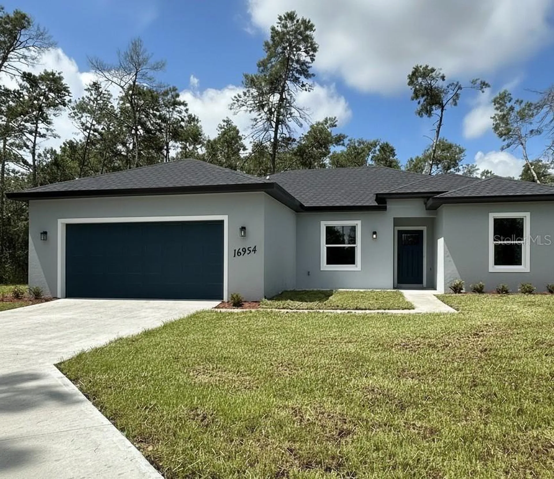 16954 SW 39th Circle Ocala FL 34473