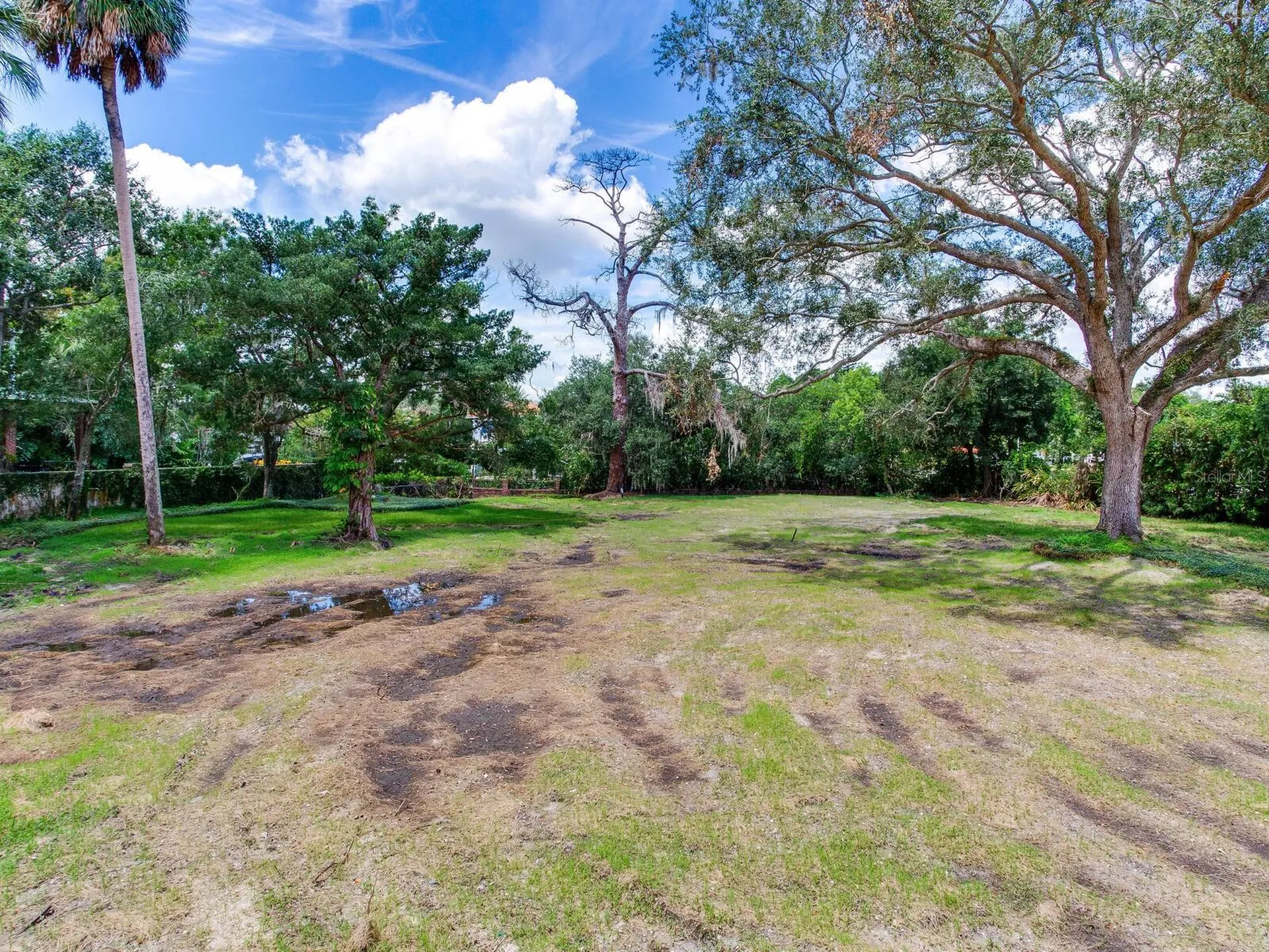 5001 S Shore Crest Circle Tampa FL 33609
