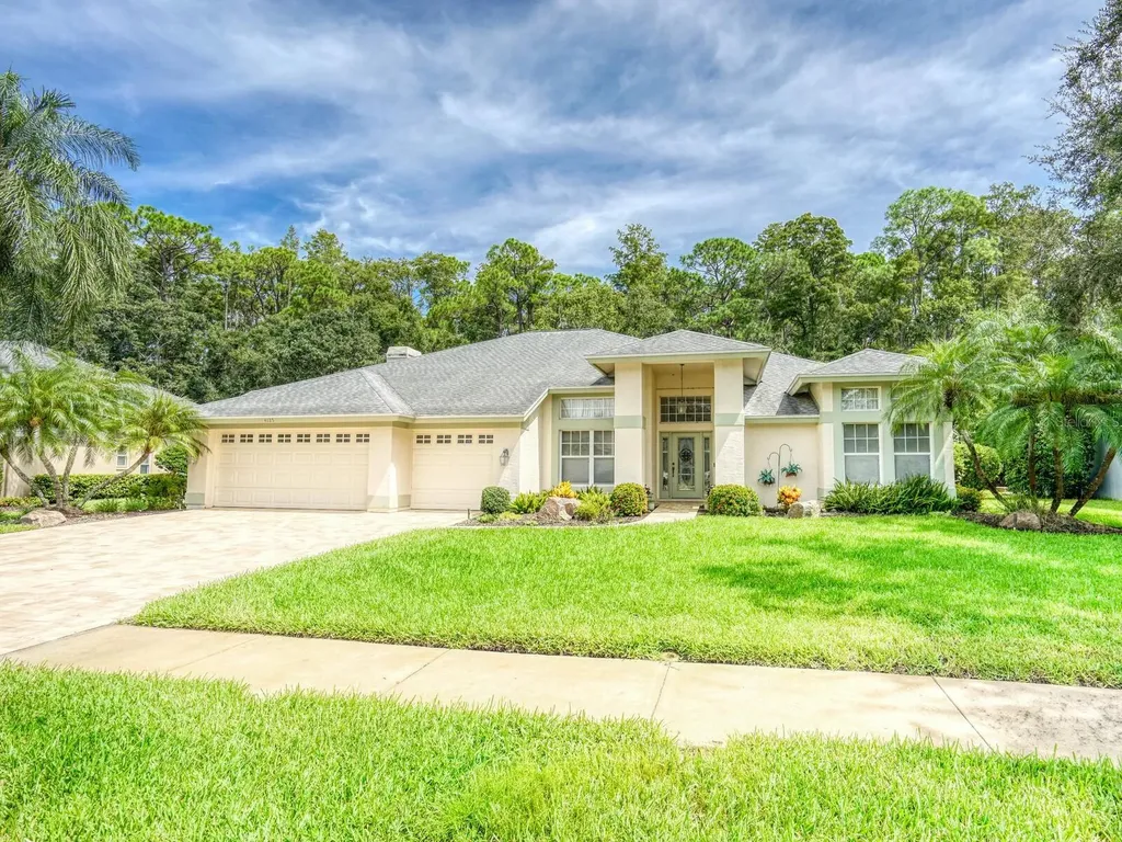 4125 Kirkaldy Drive Palm Harbor FL 34685