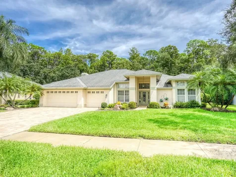 4125 Kirkaldy Drive Palm Harbor FL 34685