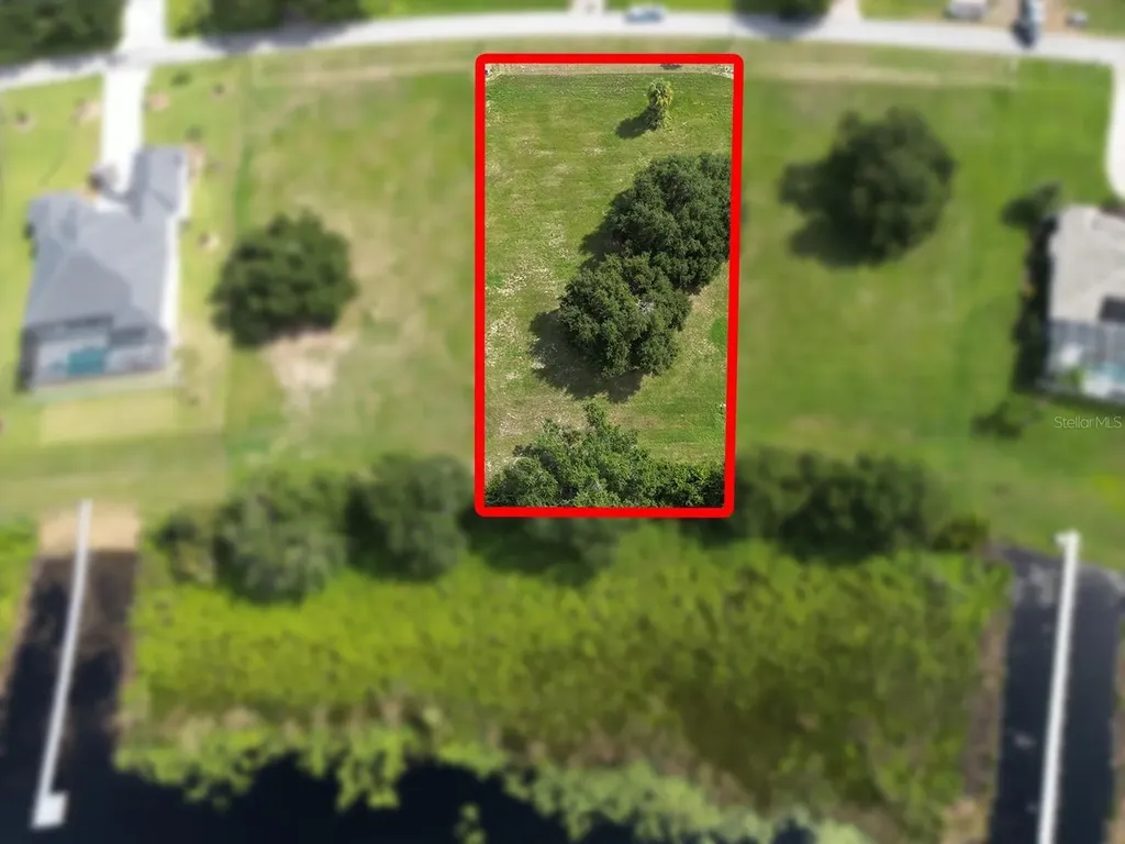 Royal Palm Drive Groveland FL 34736
