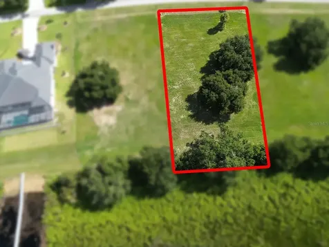 Royal Palm Drive Groveland FL 34736