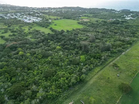 Sector Melilla Bo. Islote Arecibo PR 00612