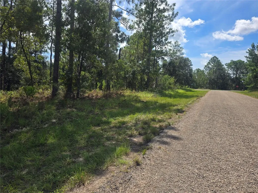 7441 N June Terrace Dunnellon FL 34434
