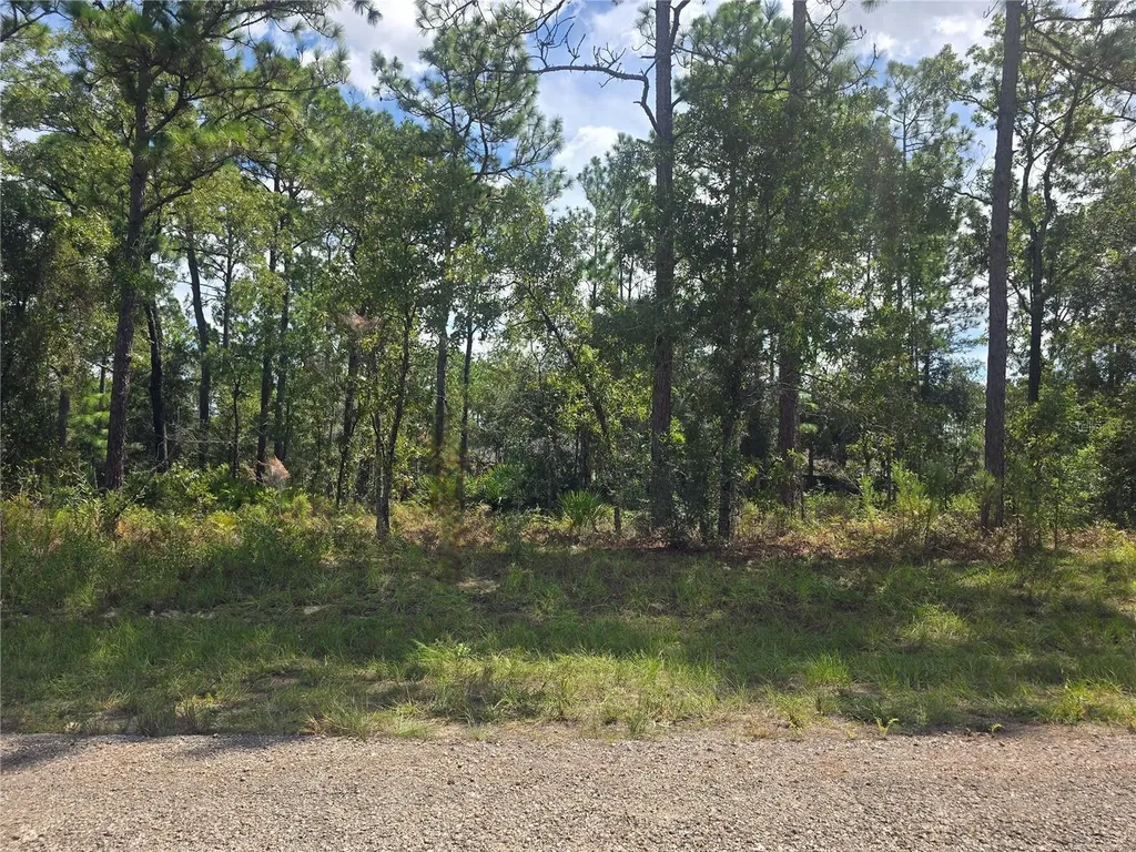 7441 N June Terrace Dunnellon FL 34434