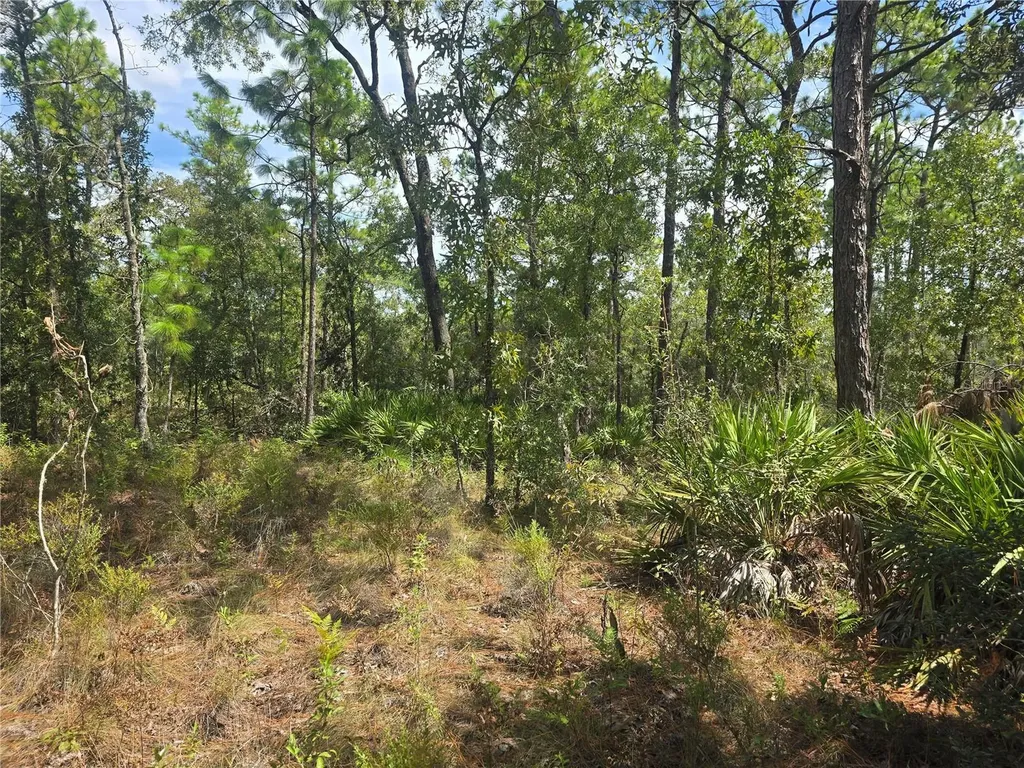 7441 N June Terrace Dunnellon FL 34434