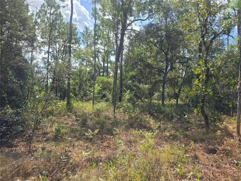 7441 N June Terrace Dunnellon FL 34434