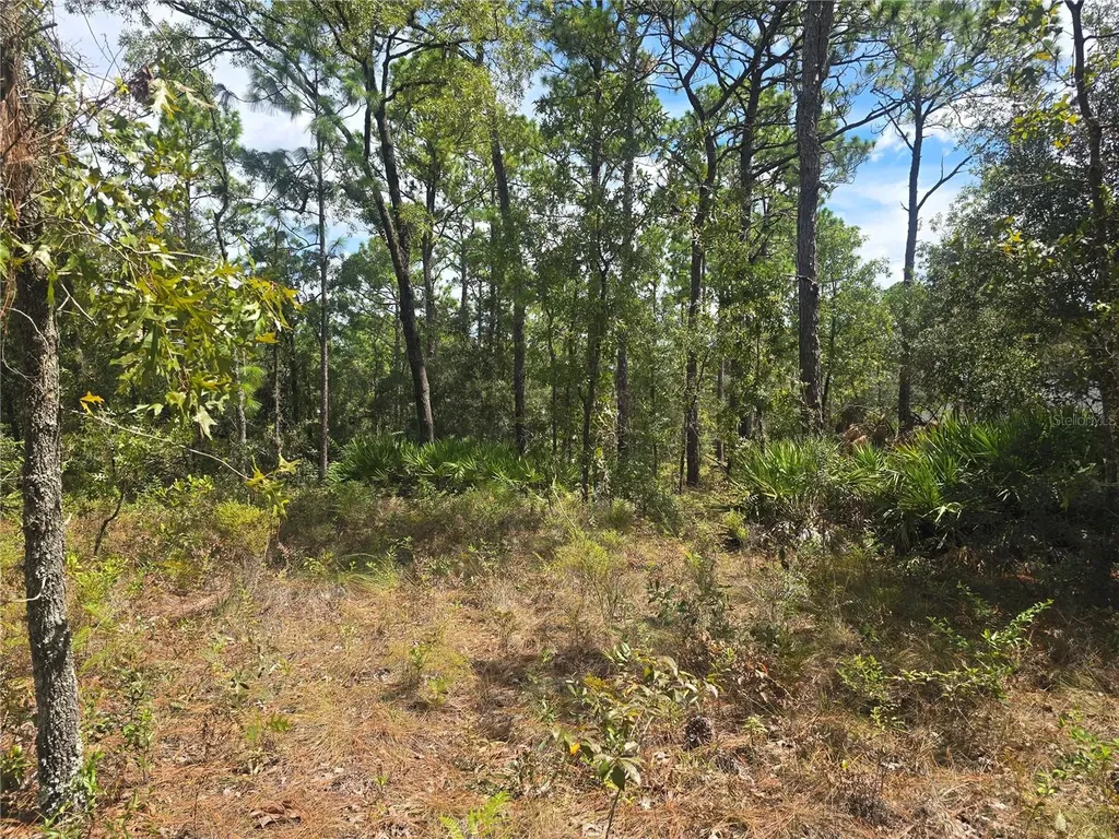7441 N June Terrace Dunnellon FL 34434