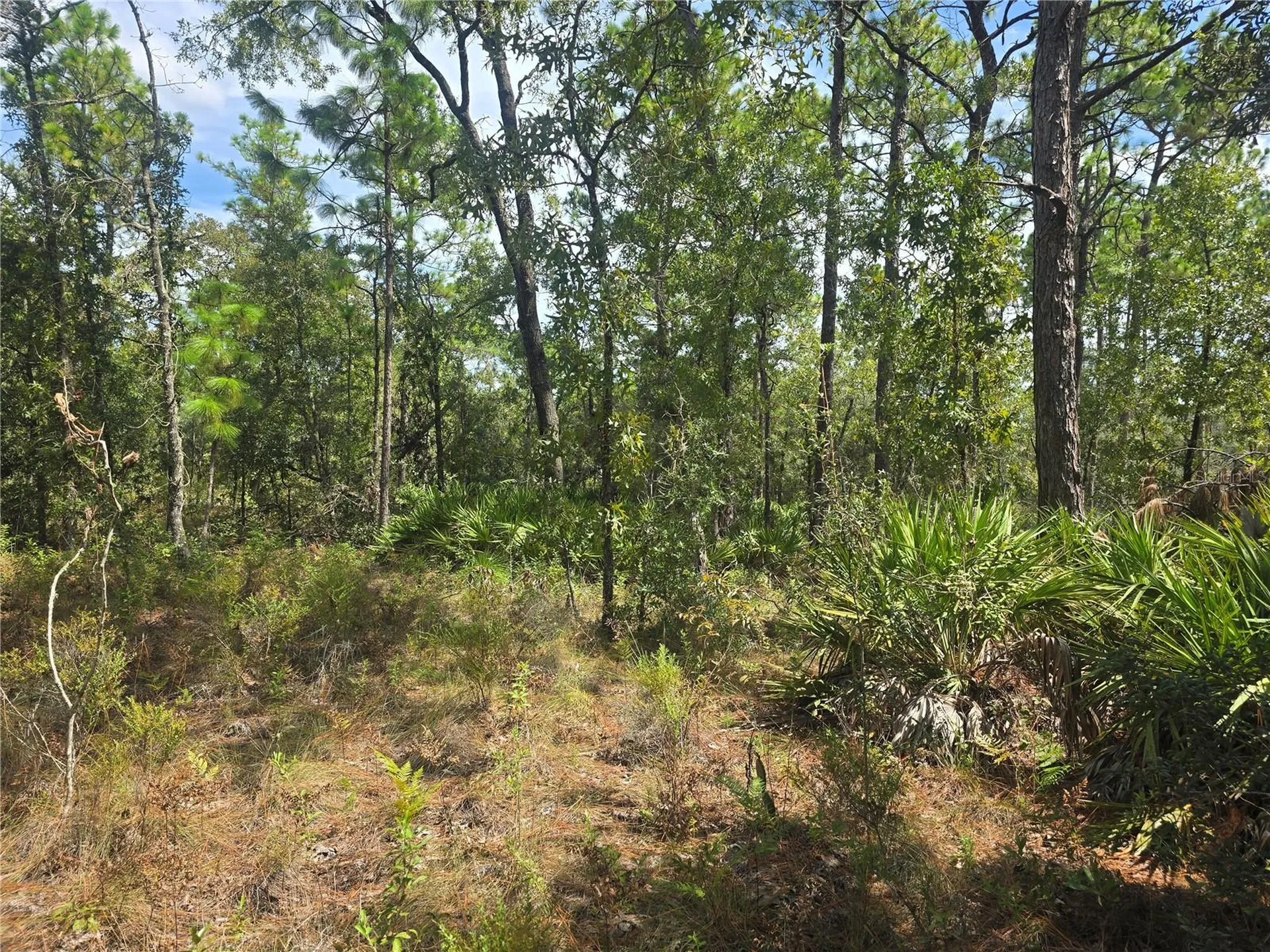 7441 N June Terrace Dunnellon FL 34434