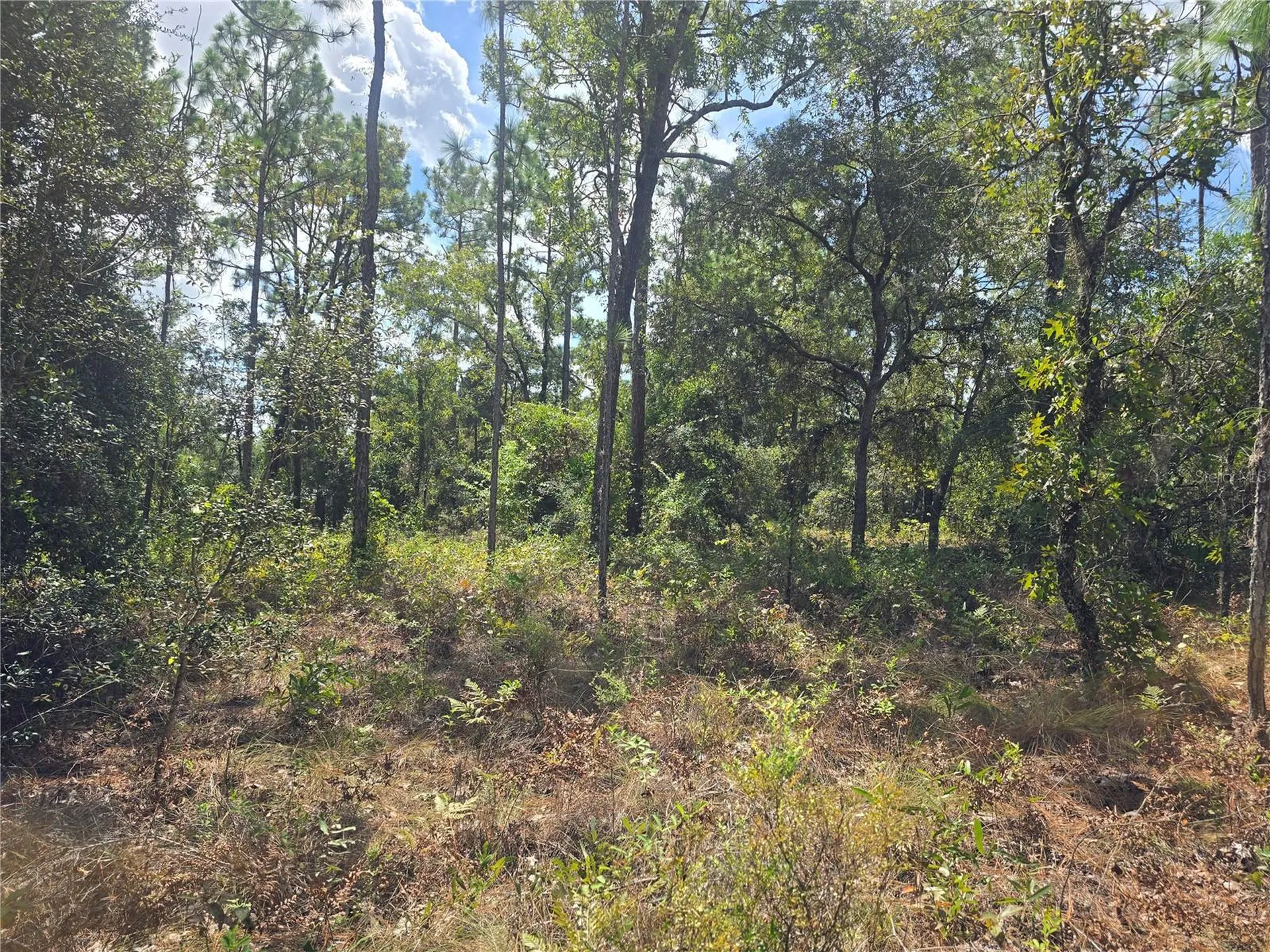 7441 N June Terrace Dunnellon FL 34434