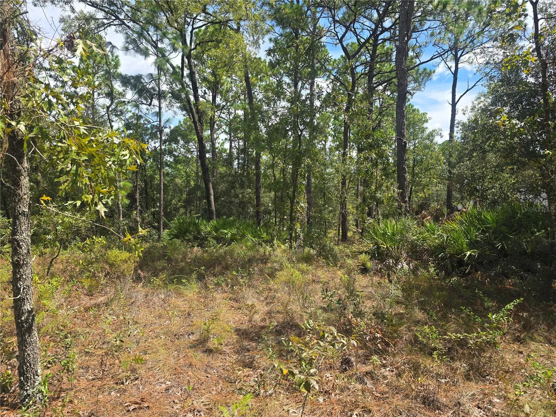 7441 N June Terrace Dunnellon FL 34434