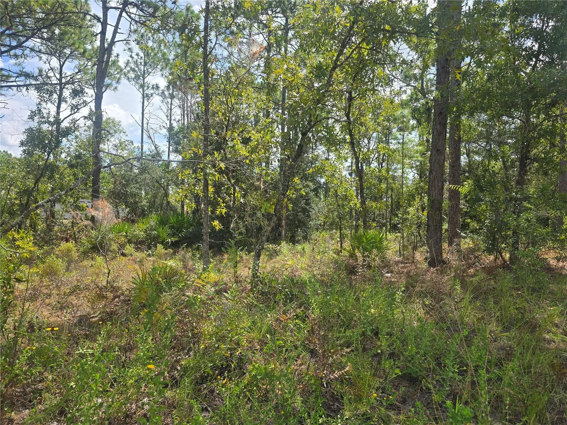 7441 N June Terrace Dunnellon FL 34434