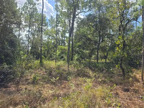 7441 N June Terrace Dunnellon FL 34434
