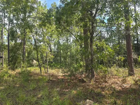 7441 N June Terrace Dunnellon FL 34434