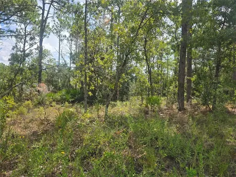 7441 N June Terrace Dunnellon FL 34434