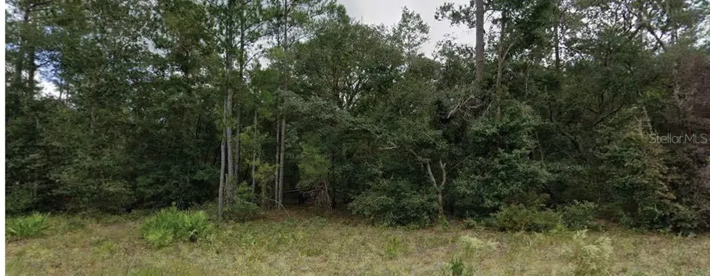 110 W Hillsborough Avenue Florahome FL 32140