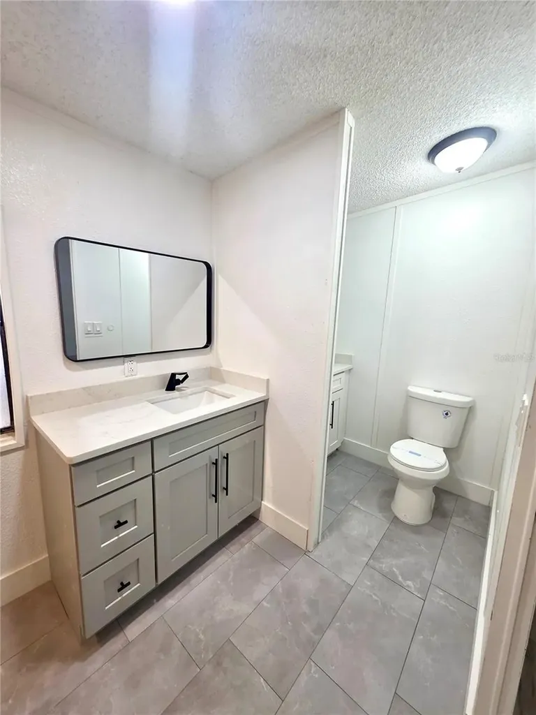 16909 Bay Avenue Montverde FL 34756