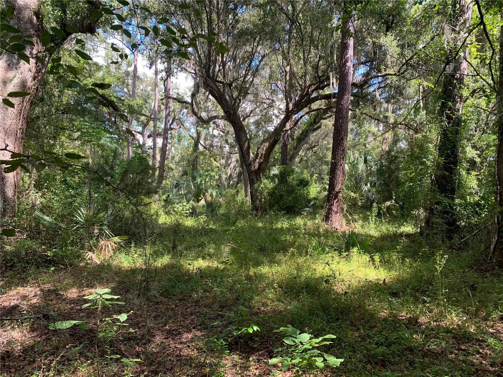 0 Cortez Boulevard Brooksville FL 34601
