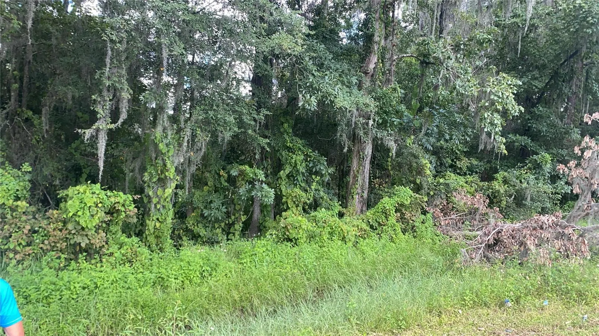 0 Cortez Boulevard Brooksville FL 34601