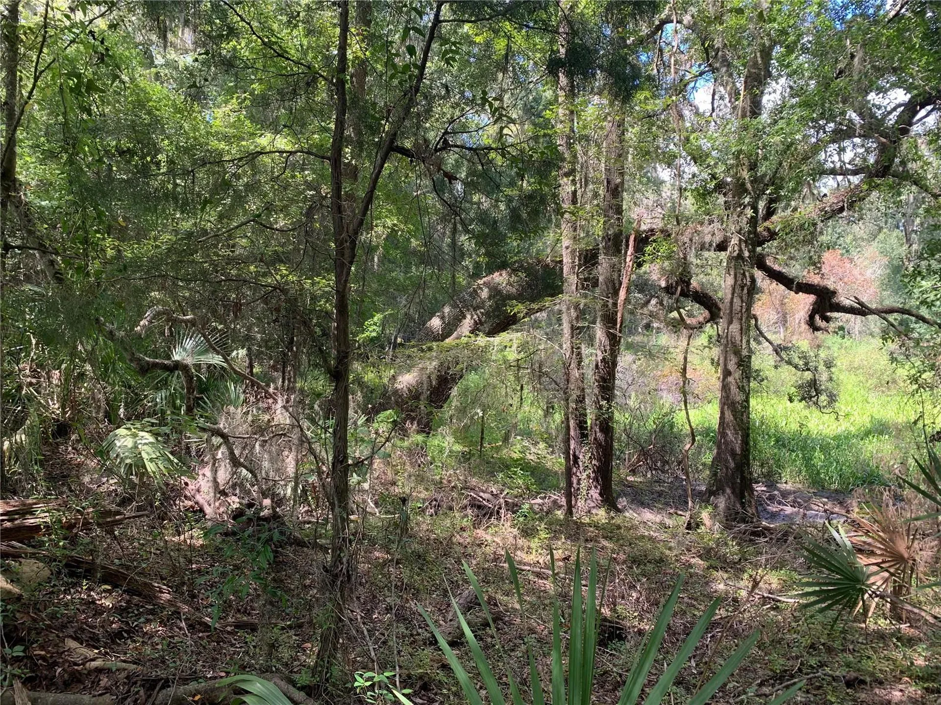 0 Cortez Boulevard Brooksville FL 34601