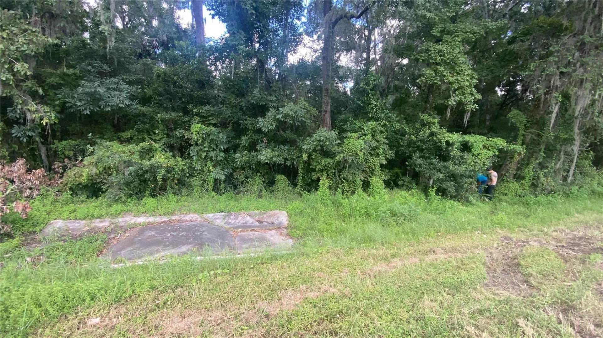 0 Cortez Boulevard Brooksville FL 34601