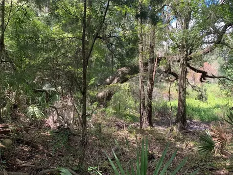 0 Cortez Boulevard Brooksville FL 34601