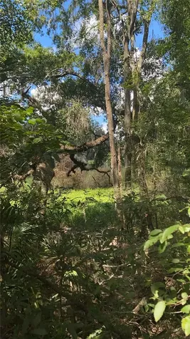 0 Cortez Boulevard Brooksville FL 34601