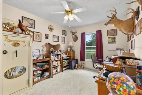 1003 Woodward Oaks Circle Eustis FL 32726