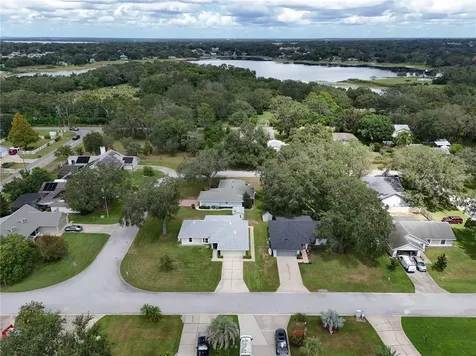 1003 Woodward Oaks Circle Eustis FL 32726