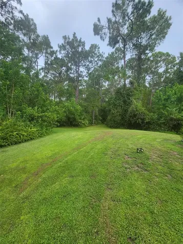 2380 Shepherd Avenue St Cloud FL 34771