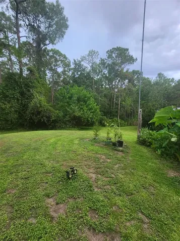 2380 Shepherd Avenue St Cloud FL 34771