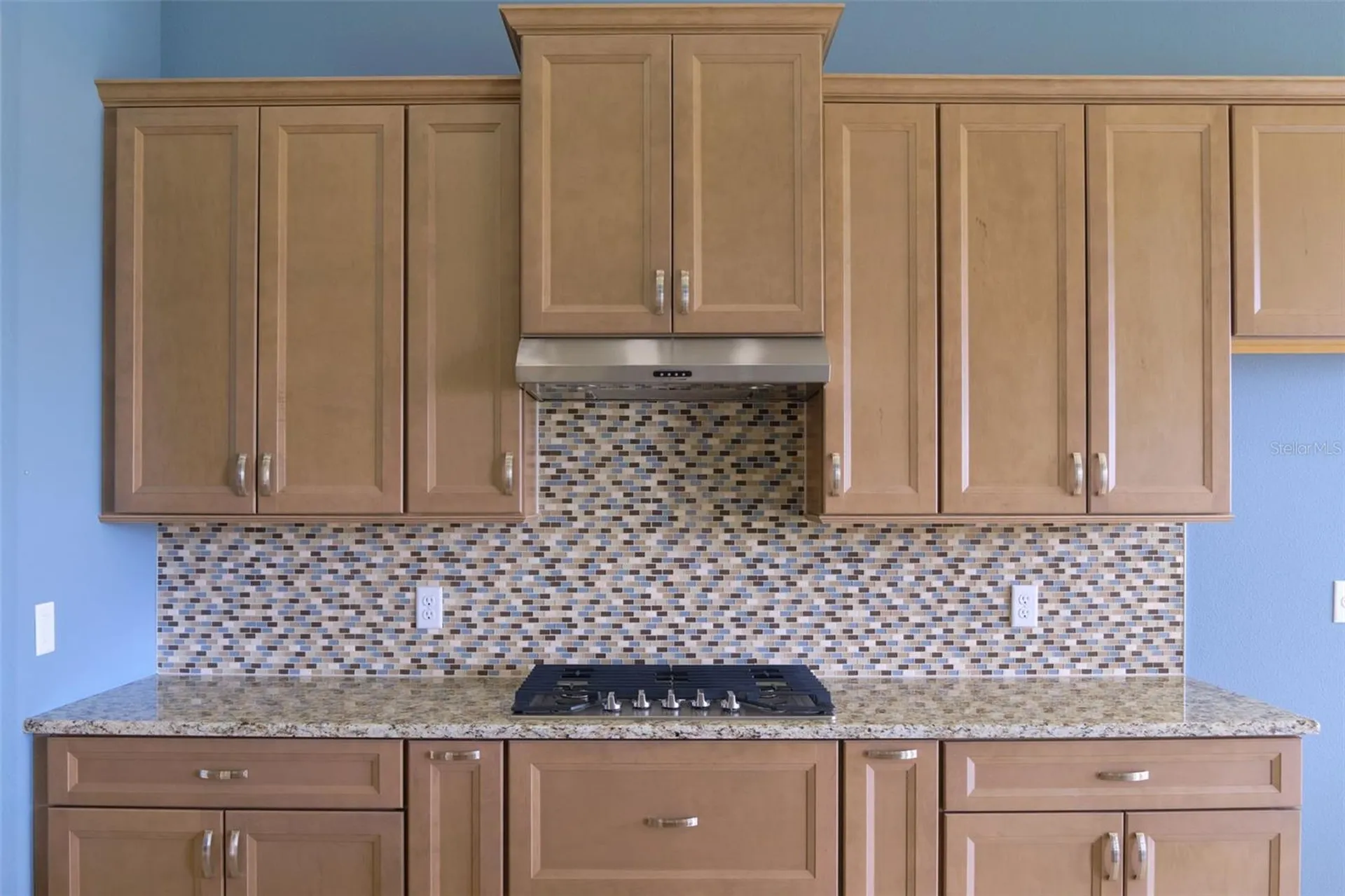 1363 W Greenmeadow Path Hernando FL 34442