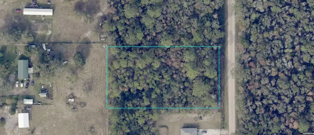 10225 W Zigler Avenue Hastings FL 32145