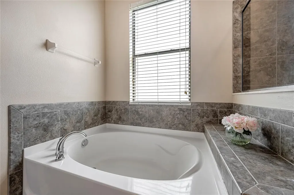 6722 Wild Elm Court Wesley Chapel FL 33545