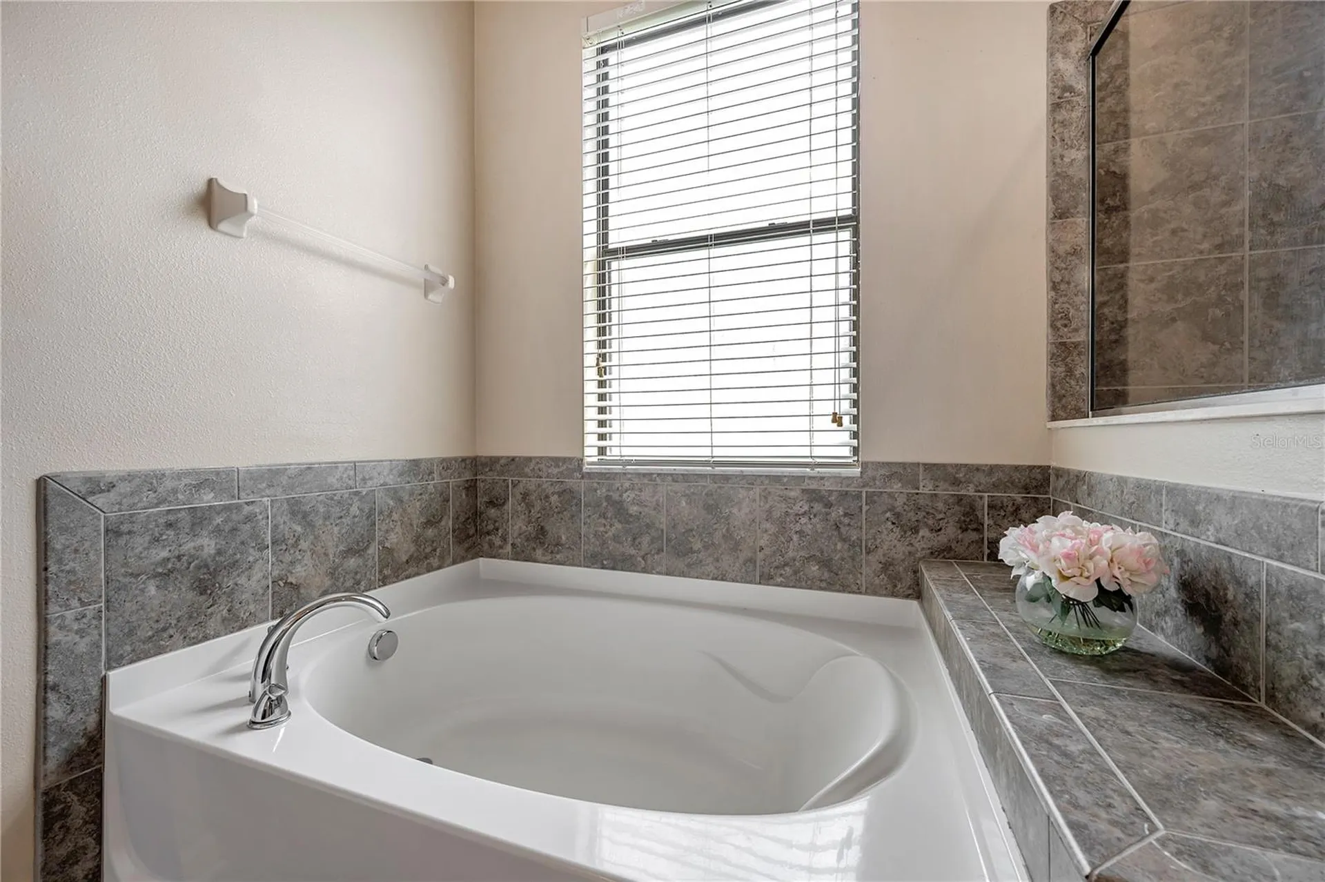 6722 Wild Elm Court Wesley Chapel FL 33545