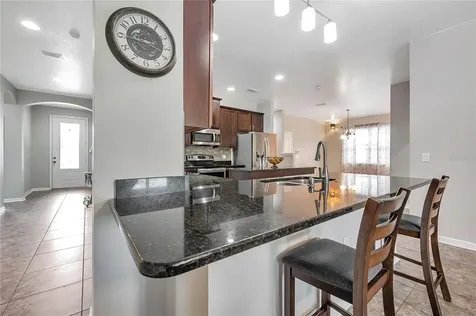 6722 Wild Elm Court Wesley Chapel FL 33545