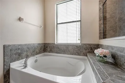 6722 Wild Elm Court Wesley Chapel FL 33545
