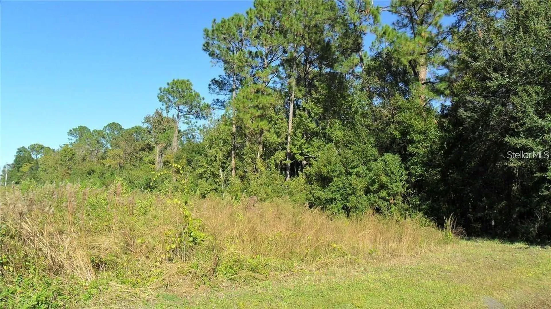 9049 Fryland Road Orlando FL 32817