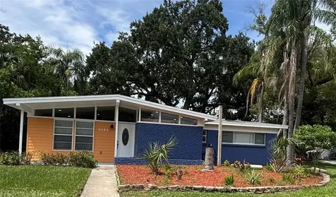 6508 N 34th Street Tampa FL 33610