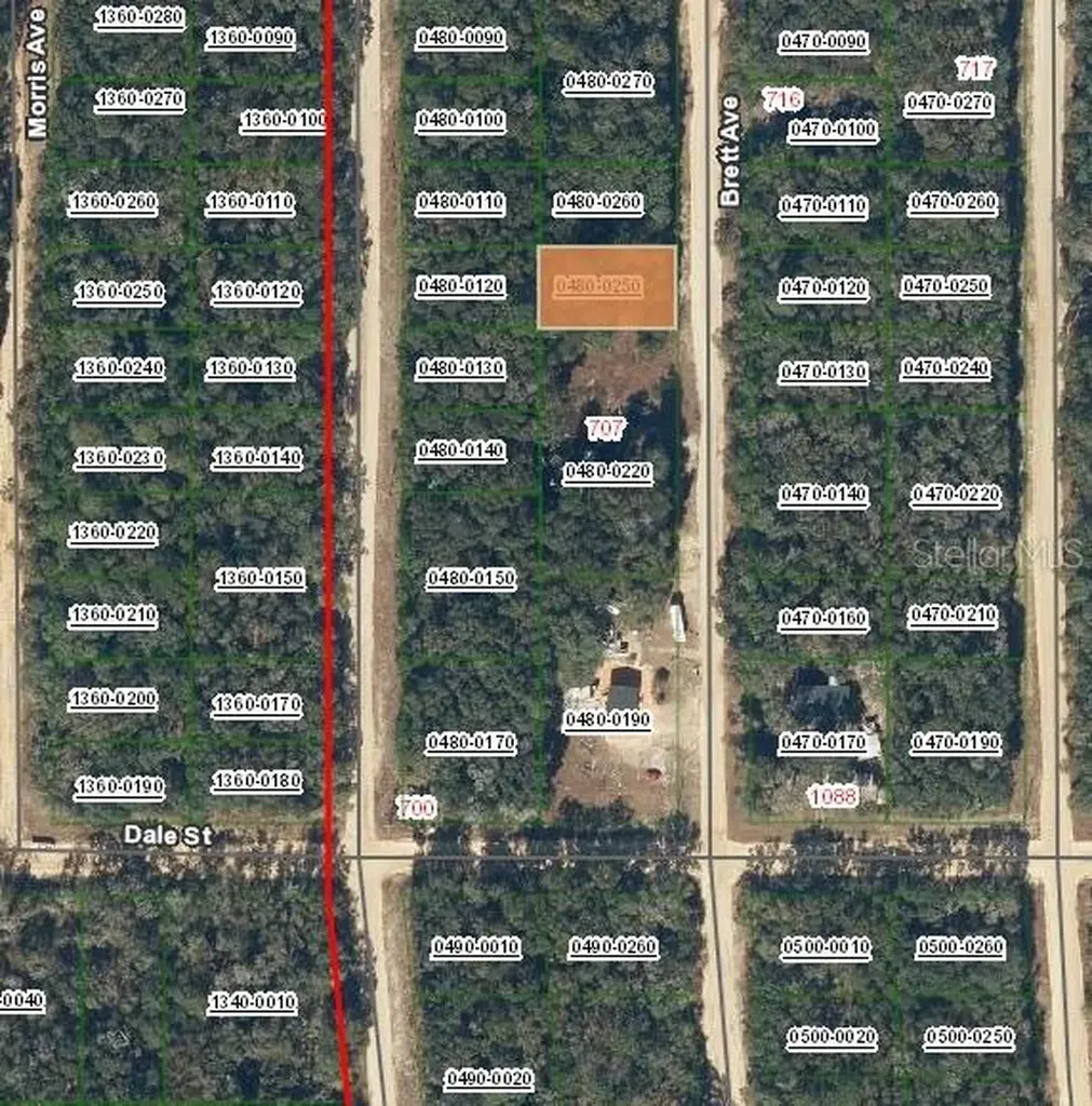 713 Brett Avenue Interlachen FL 32148