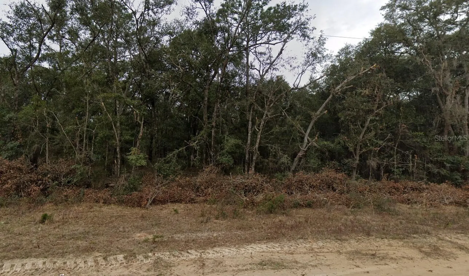 713 Brett Avenue Interlachen FL 32148
