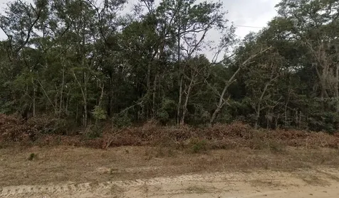 713 Brett Avenue Interlachen FL 32148