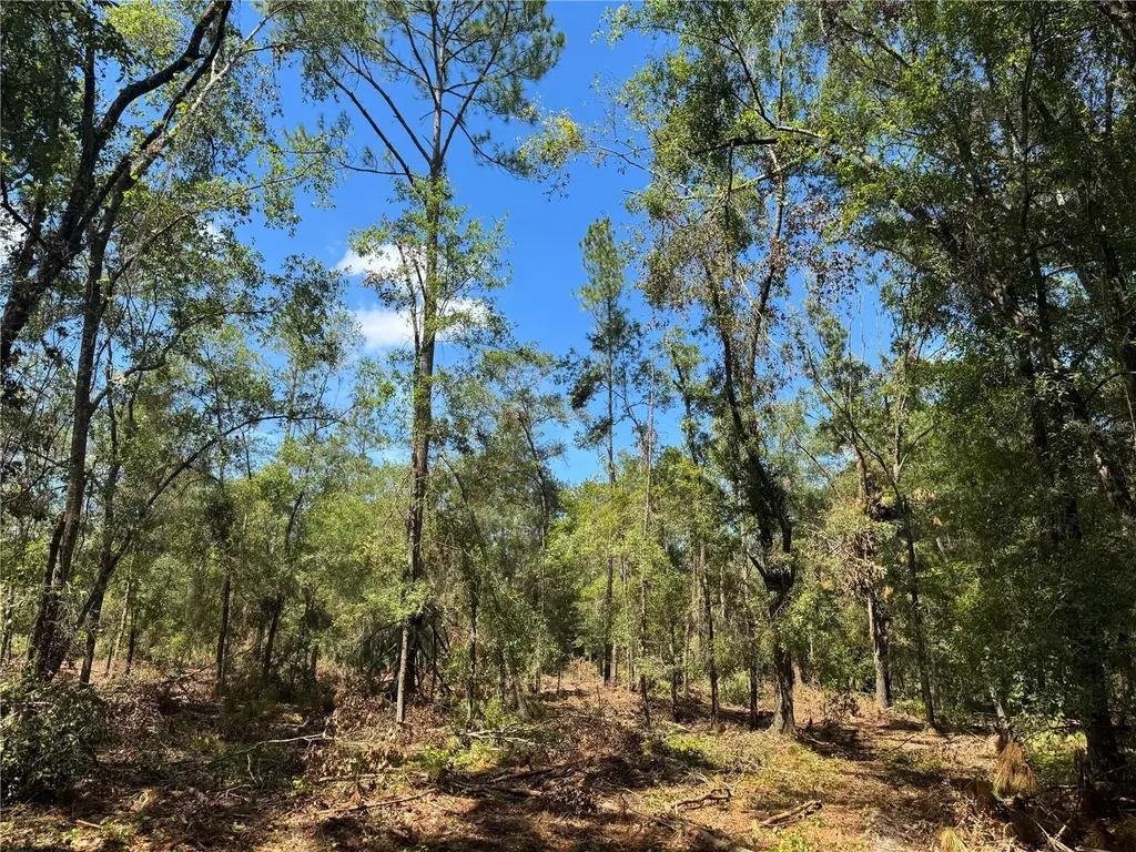 Tbd NE Cr 1475 Road Gainesville FL 32609