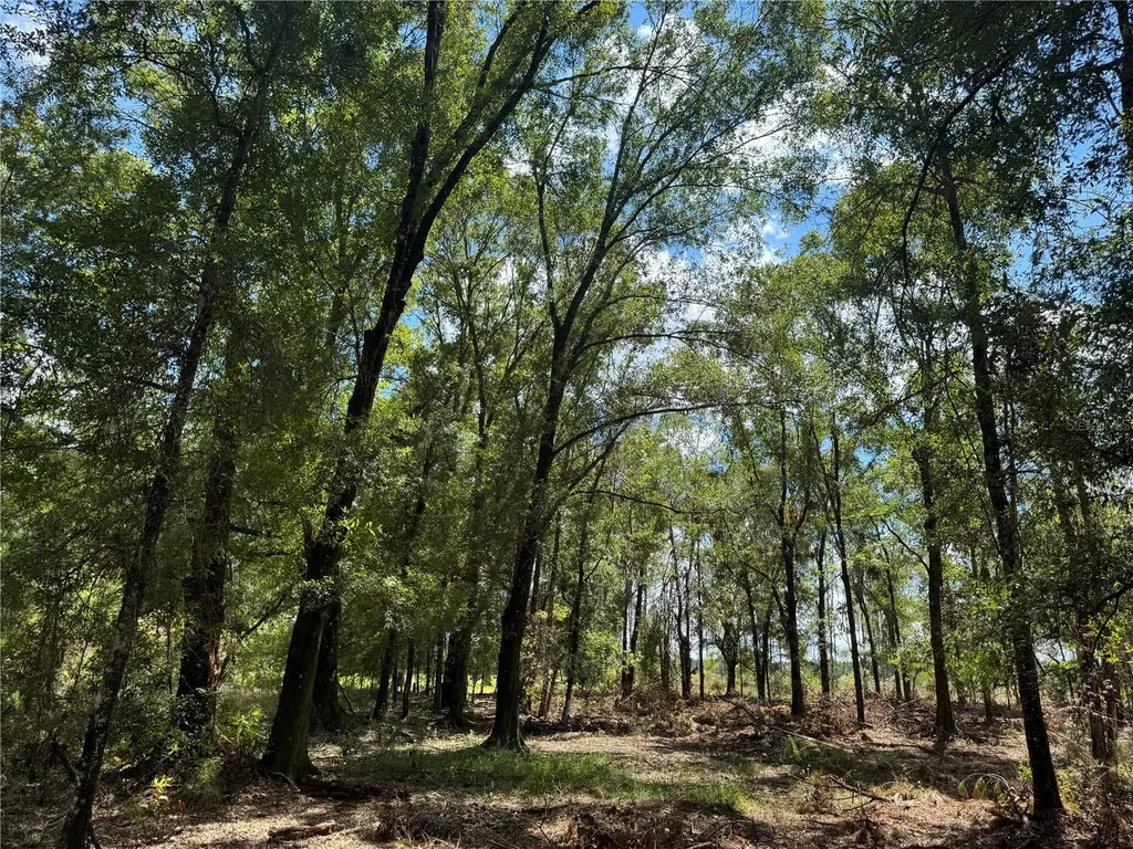 Tbd NE Cr 1475 Road Gainesville FL 32609