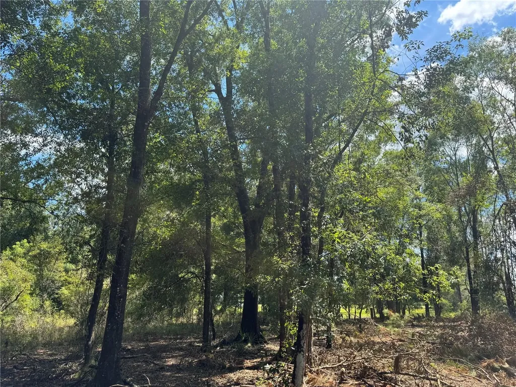 Tbd NE Cr 1475 Road Gainesville FL 32609