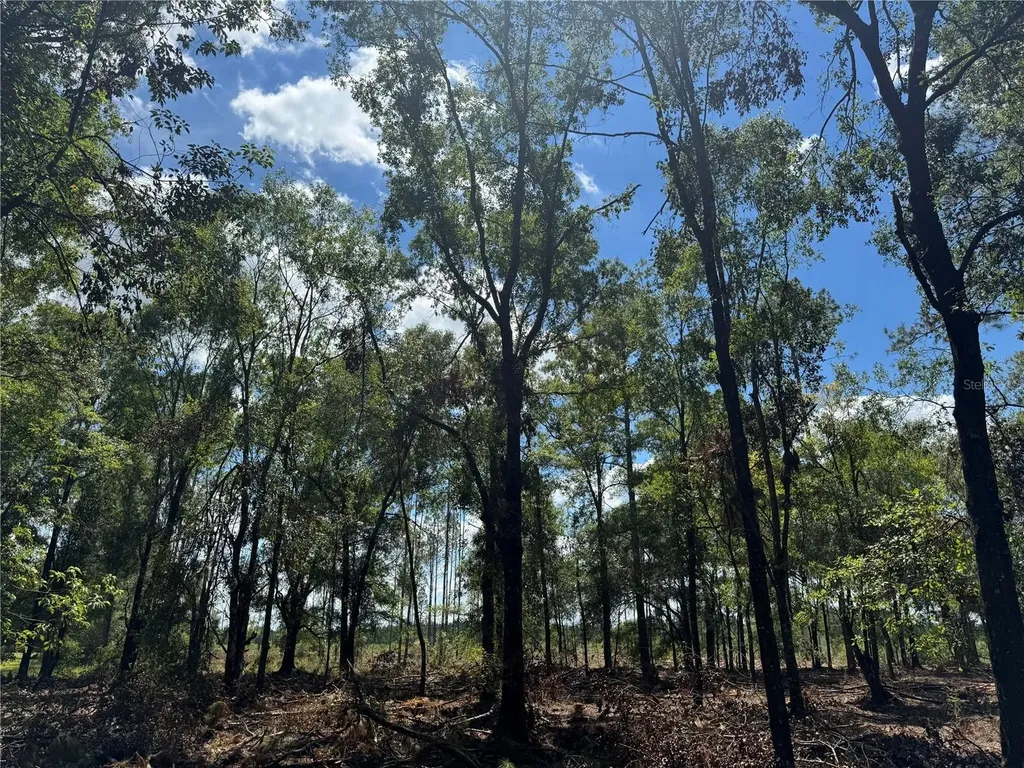 Tbd NE Cr 1475 Road Gainesville FL 32609